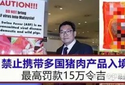 印尼猪瘟最新爆料,最新爆料揭示严峻形势