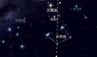 天鲁在线观看,揭秘网络直播的魅力与挑战