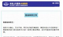 永雄公司员工爆料视频,揭露公司内幕与真实情况