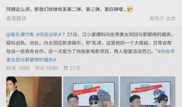 狗仔爆料张嘉元视频,张嘉元私密视频曝光，真相揭秘