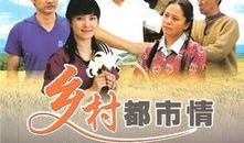 乡村都市情在线观看,穿越城乡的浪漫邂逅
