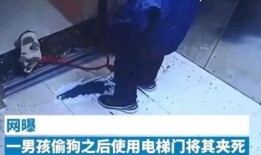 小男孩内鬼爆料视频播放