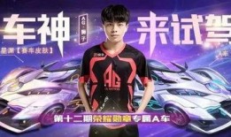 缤纷神驹爆料了吗视频播放,视频播放背后的精彩故事