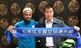 石家庄永昌爆料案件最新,揭秘背后真相与影响