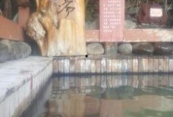 热海在线观看,沉浸式体验，畅游虚拟温泉世界