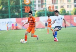 石家庄永昌爆料案件最新,揭秘背后真相与影响