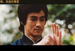 虎帅最新爆料视频播放大全,精彩瞬间一网打尽