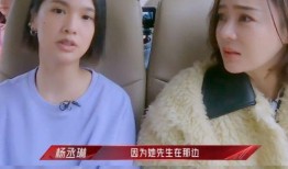 知乎爆料陈妍希视频,揭秘明星背后的真实生活