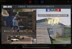 爆料的视频和平精英,和平精英全新玩法与神秘角色大曝光！