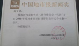 商丘最新爆料新闻报道,揭秘背后惊人真相！