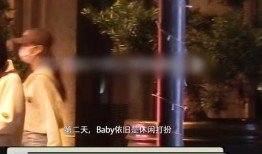 狗仔爆料张嘉元视频,张嘉元私密视频曝光，真相揭秘