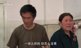 乡村都市情在线观看,穿越城乡的浪漫邂逅