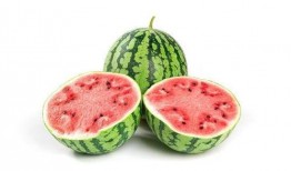 年代文里的吃瓜日常免费,闲话家常，品味瓜香岁月