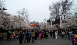 中山公园直播爆料最新