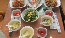 韩国旅游团爆料餐食视频,揭秘神秘团餐背后的真相