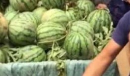 长春网红吃瓜事件视频,一场网络热议的幕后真相揭秘