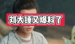 刘大锤爆料名单最新视频,揭秘娱乐圈惊人名单
