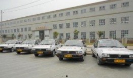 龙东科目三爆料视频最新,揭秘驾考新规下的实战技巧与应对策略