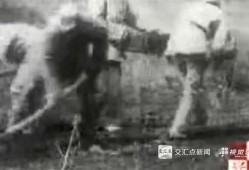 南泥湾电影在线观看,重温红色记忆，传承革命精神